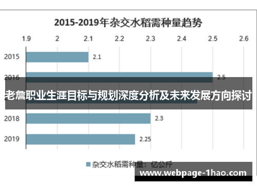 老詹职业生涯目标与规划深度分析及未来发展方向探讨
