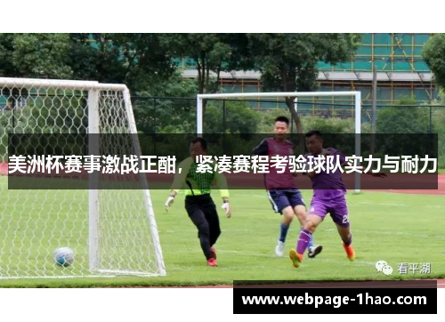 美洲杯赛事激战正酣，紧凑赛程考验球队实力与耐力