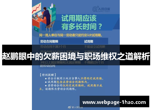 赵鹏眼中的欠薪困境与职场维权之道解析