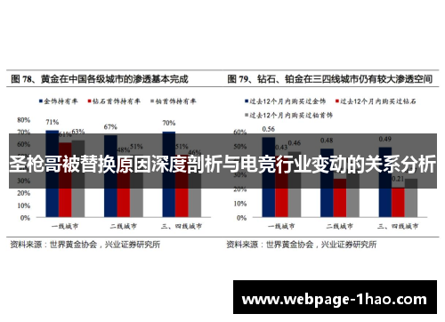 圣枪哥被替换原因深度剖析与电竞行业变动的关系分析