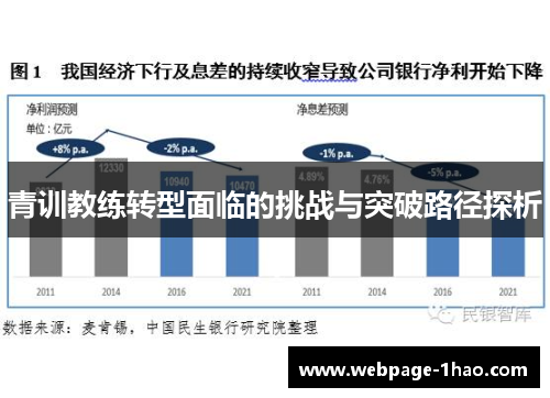 青训教练转型面临的挑战与突破路径探析
