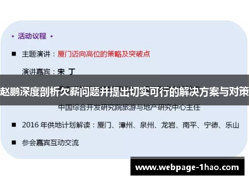 赵鹏深度剖析欠薪问题并提出切实可行的解决方案与对策