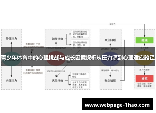 青少年体育中的心理挑战与成长困境探析从压力源到心理适应路径