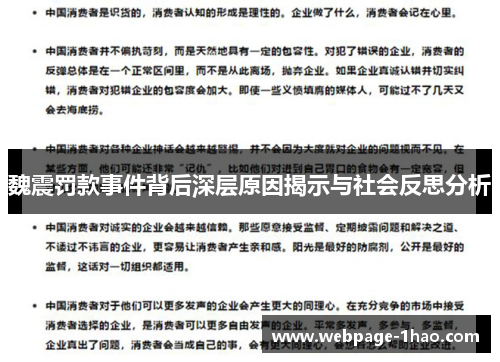 魏震罚款事件背后深层原因揭示与社会反思分析