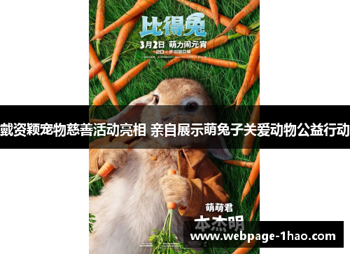 戴资颖宠物慈善活动亮相 亲自展示萌兔子关爱动物公益行动