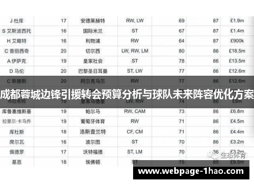 成都蓉城边锋引援转会预算分析与球队未来阵容优化方案